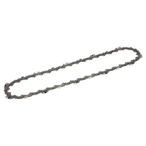 EGO Power Equipment 10" Pole Saw Chain AC1000Q